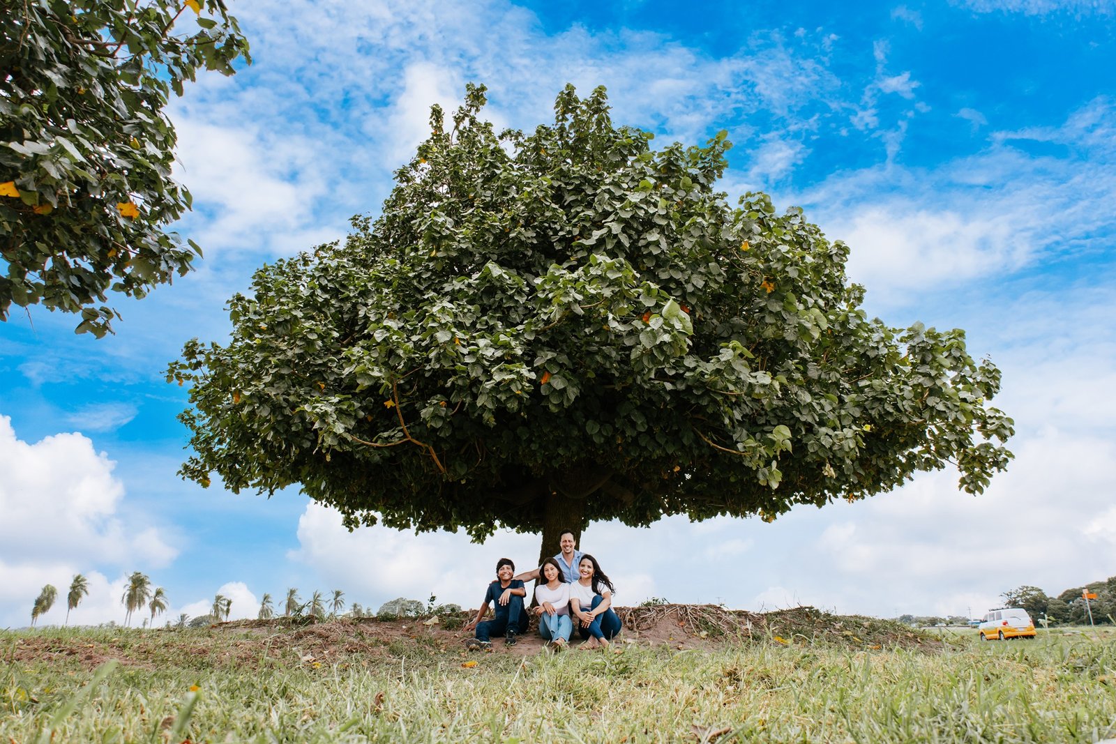 arbol entrada retocadas-2