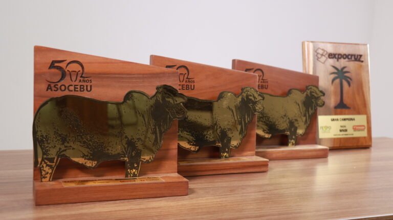 premios trofeo urucu (16)