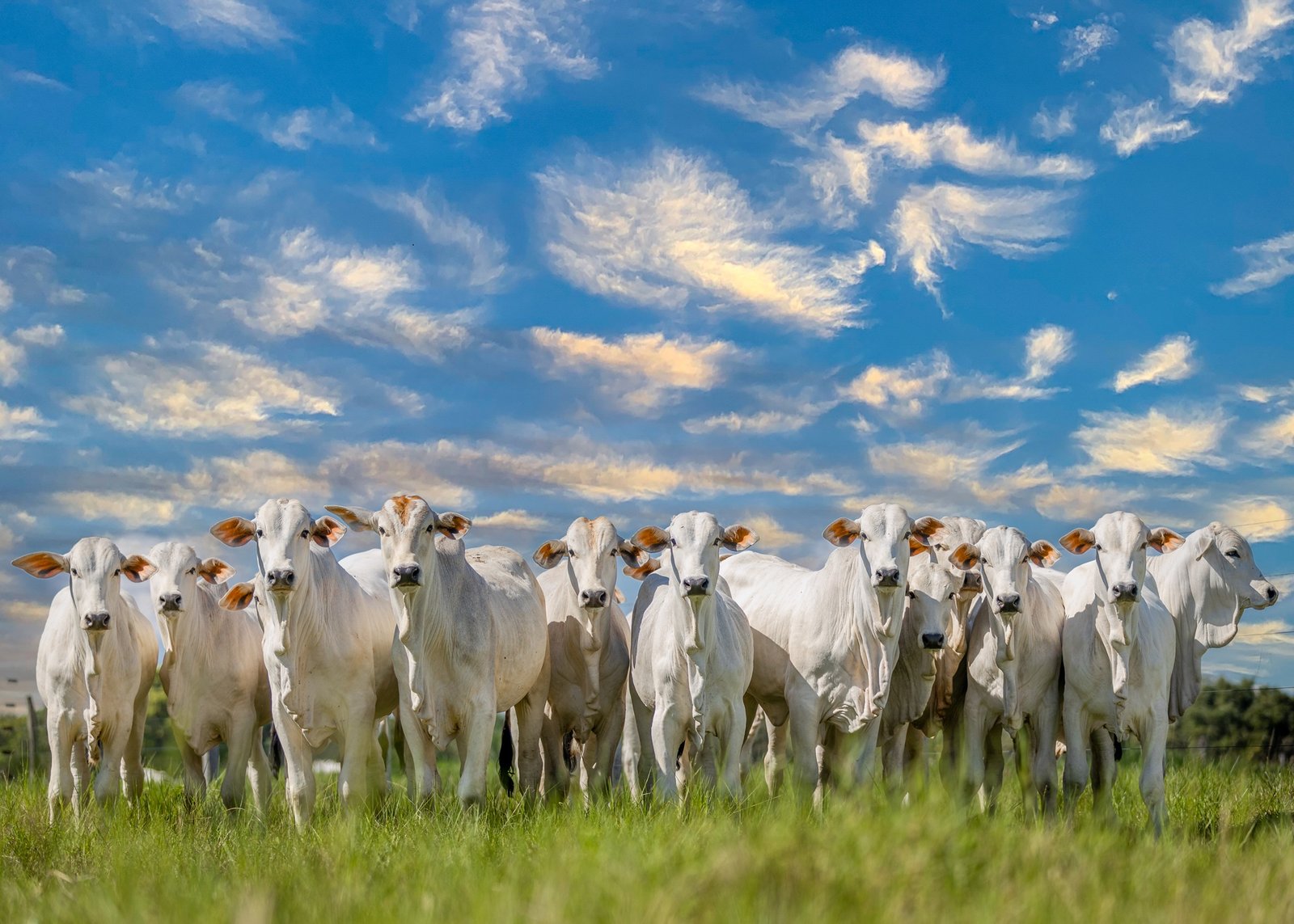 FRB_8330_ @fotoruralbolivia.jpg