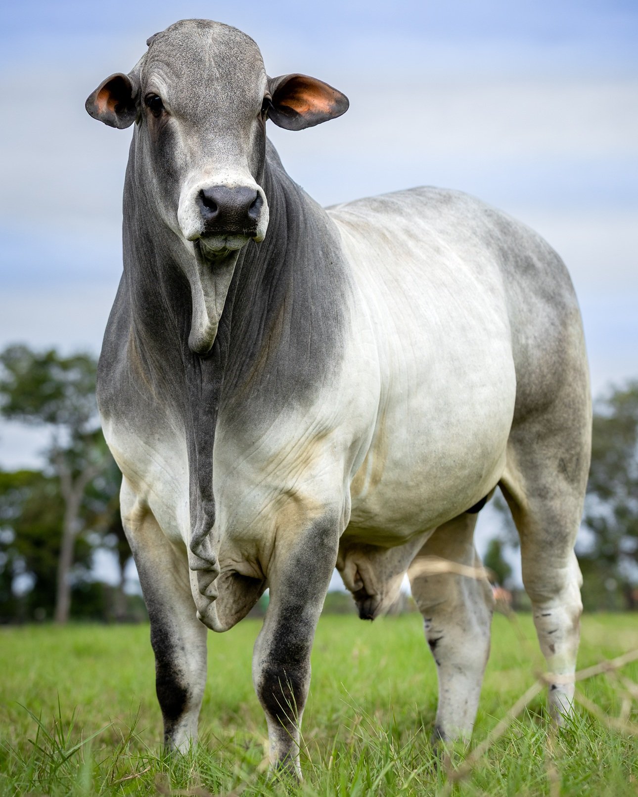 IGS_2070_ @somosfotorural.jpg